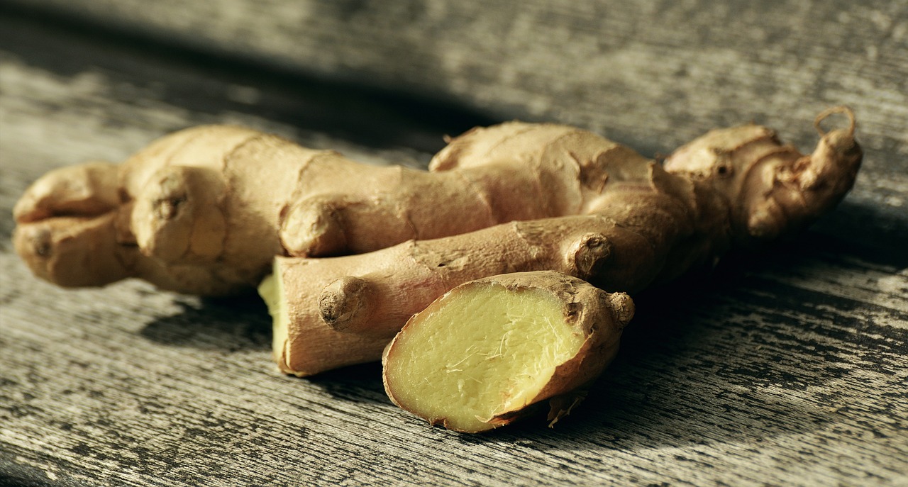 The Importance of Crop Rotation in Sustainable Farming